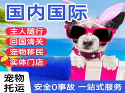 左旗巴彦浩特航空快运国际宠物托运 【国